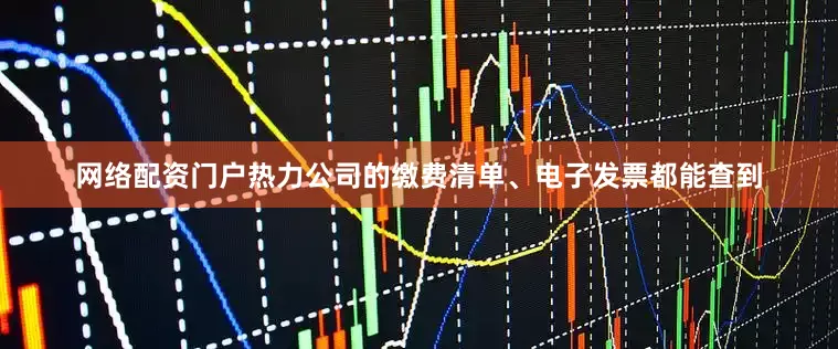 网络配资门户热力公司的缴费清单、电子发票都能查到