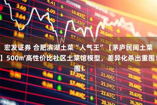 宏发证券 合肥滨湖土菜“人气王”【茅庐民间土菜】500㎡高性价比社区土菜馆模型，差异化杀出重围！