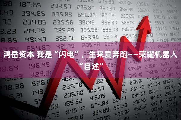 鸿岳资本 我是“闪电”，生来爱奔跑——荣耀机器人“自述”